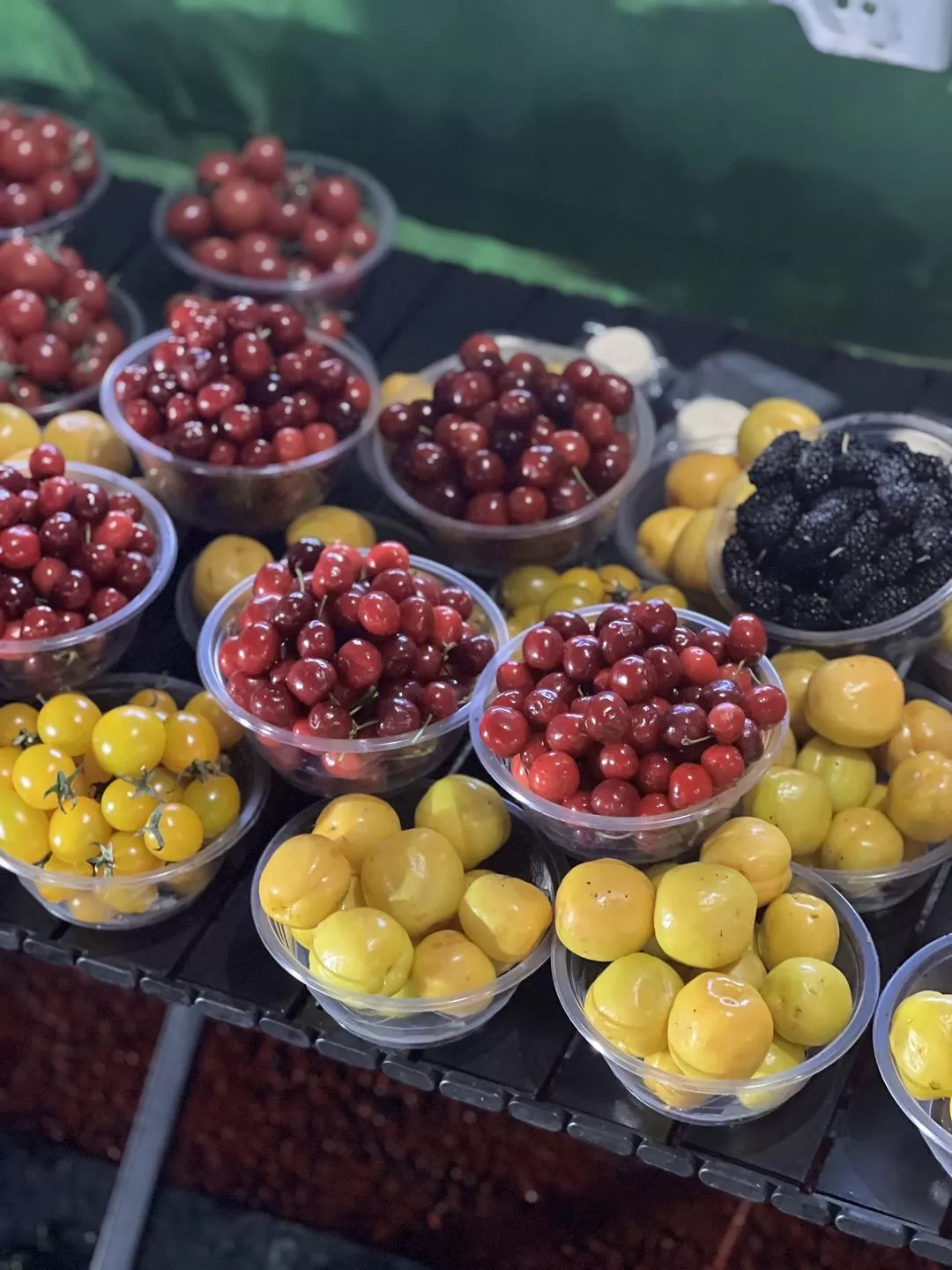 旅游推荐🔥一人游：心留在了新疆，回不来了（终于完结啦🎉🎉🎉）