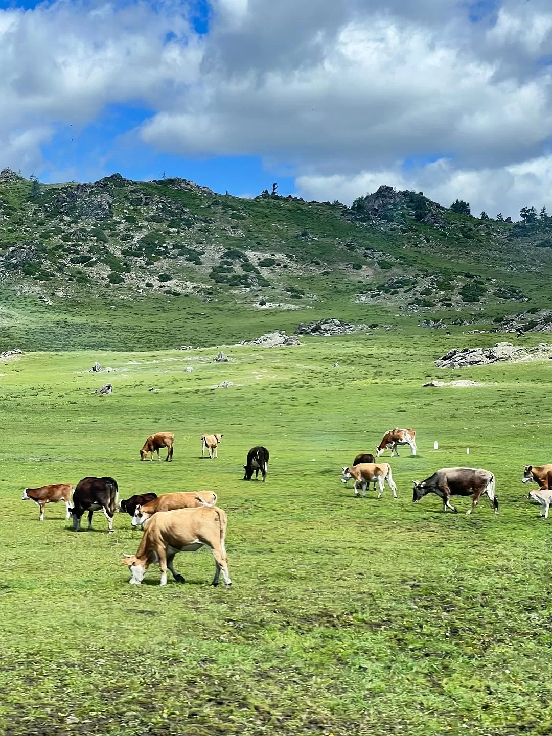 旅游推荐🔥一人游：心留在了新疆，回不来了（终于完结啦🎉🎉🎉）