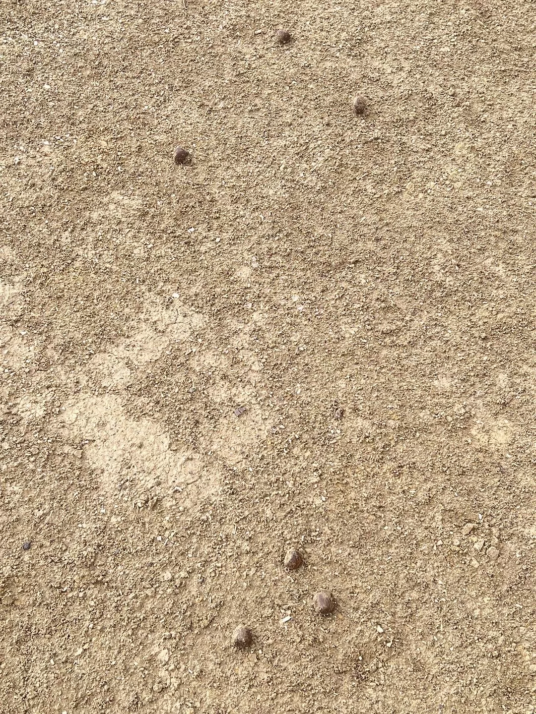 旅游推荐🔥一人游：心留在了新疆，回不来了（终于完结啦🎉🎉🎉）