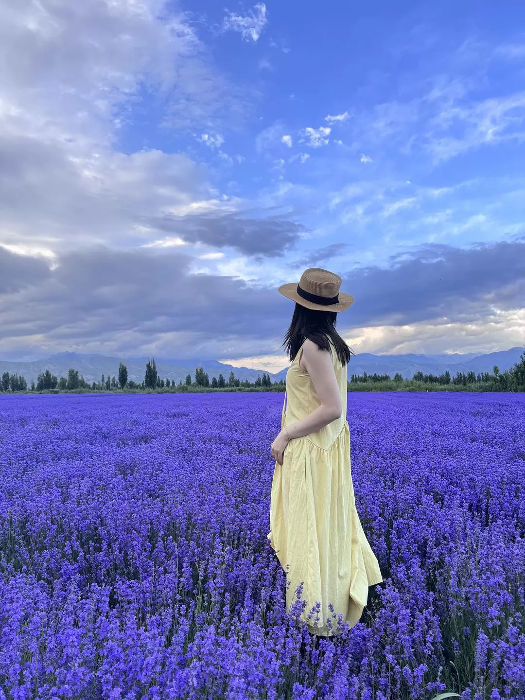 旅游推荐🔥一人游：心留在了新疆，回不来了（终于完结啦🎉🎉🎉）