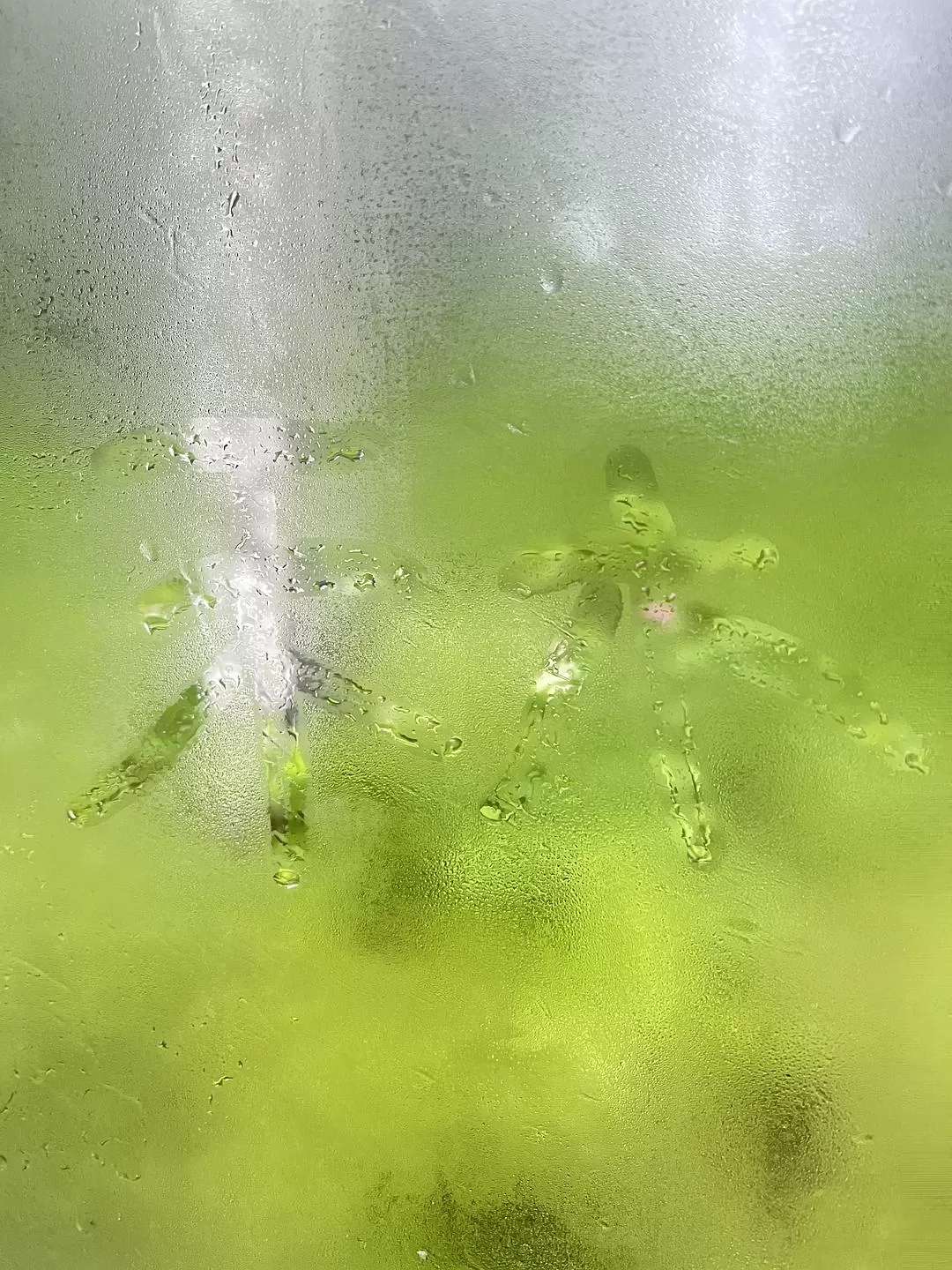 旅游推荐🔥一人游：心留在了新疆，回不来了（终于完结啦🎉🎉🎉）