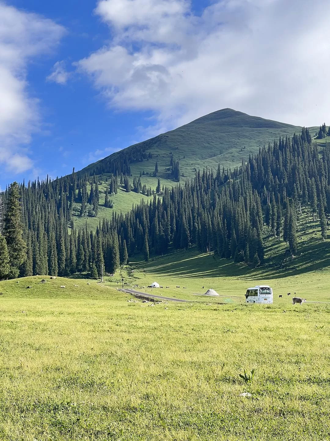 旅游推荐🔥一人游：心留在了新疆，回不来了（终于完结啦🎉🎉🎉）