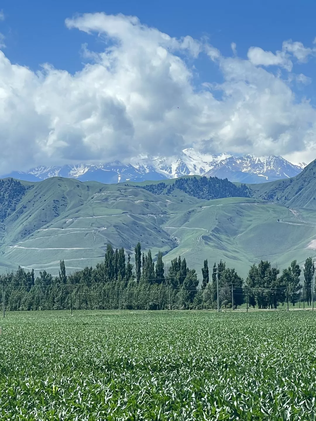 旅游推荐🔥一人游：心留在了新疆，回不来了（终于完结啦🎉🎉🎉）