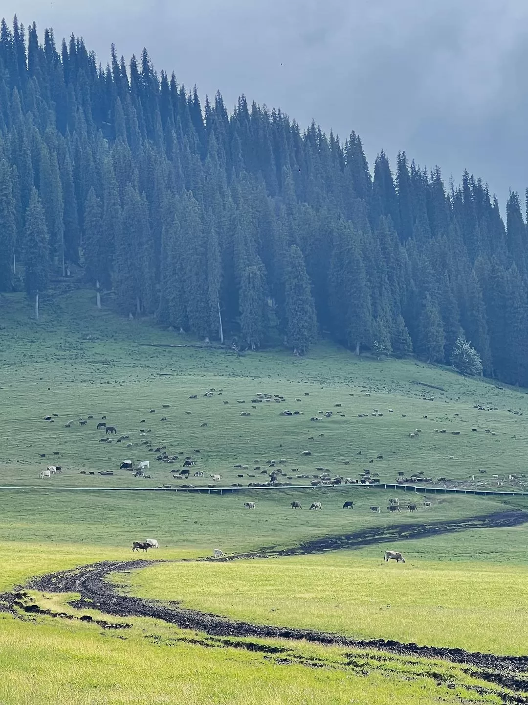 旅游推荐🔥一人游：心留在了新疆，回不来了（终于完结啦🎉🎉🎉）