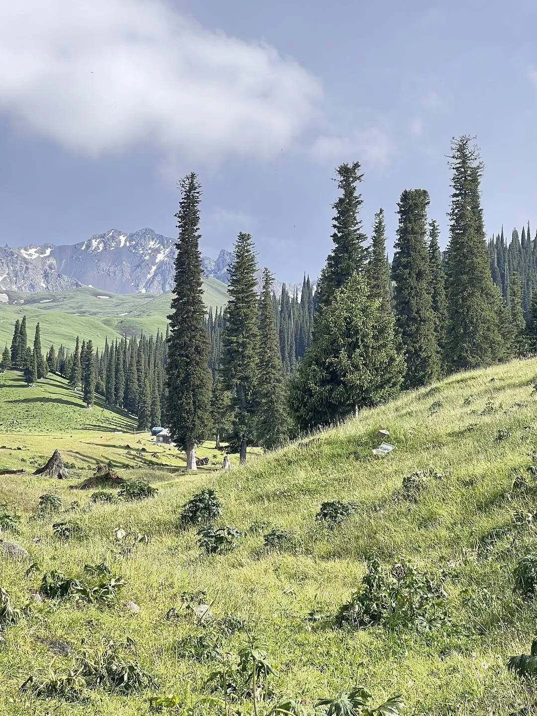 旅游推荐🔥一人游：心留在了新疆，回不来了（终于完结啦🎉🎉🎉）