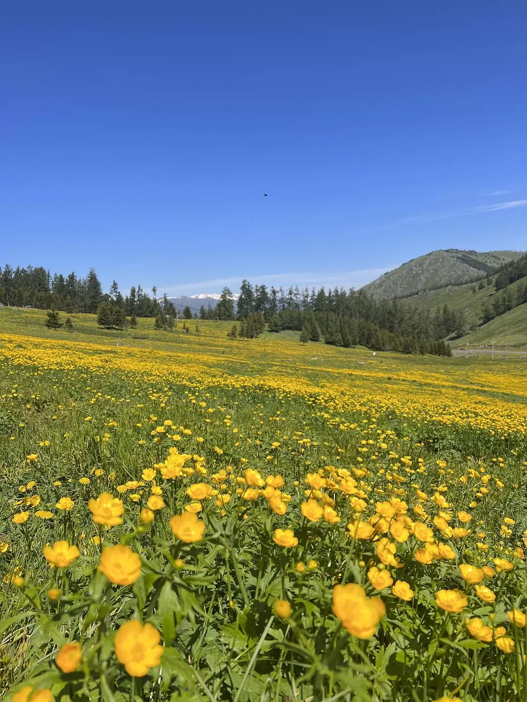 旅游推荐🔥一人游：心留在了新疆，回不来了（终于完结啦🎉🎉🎉）