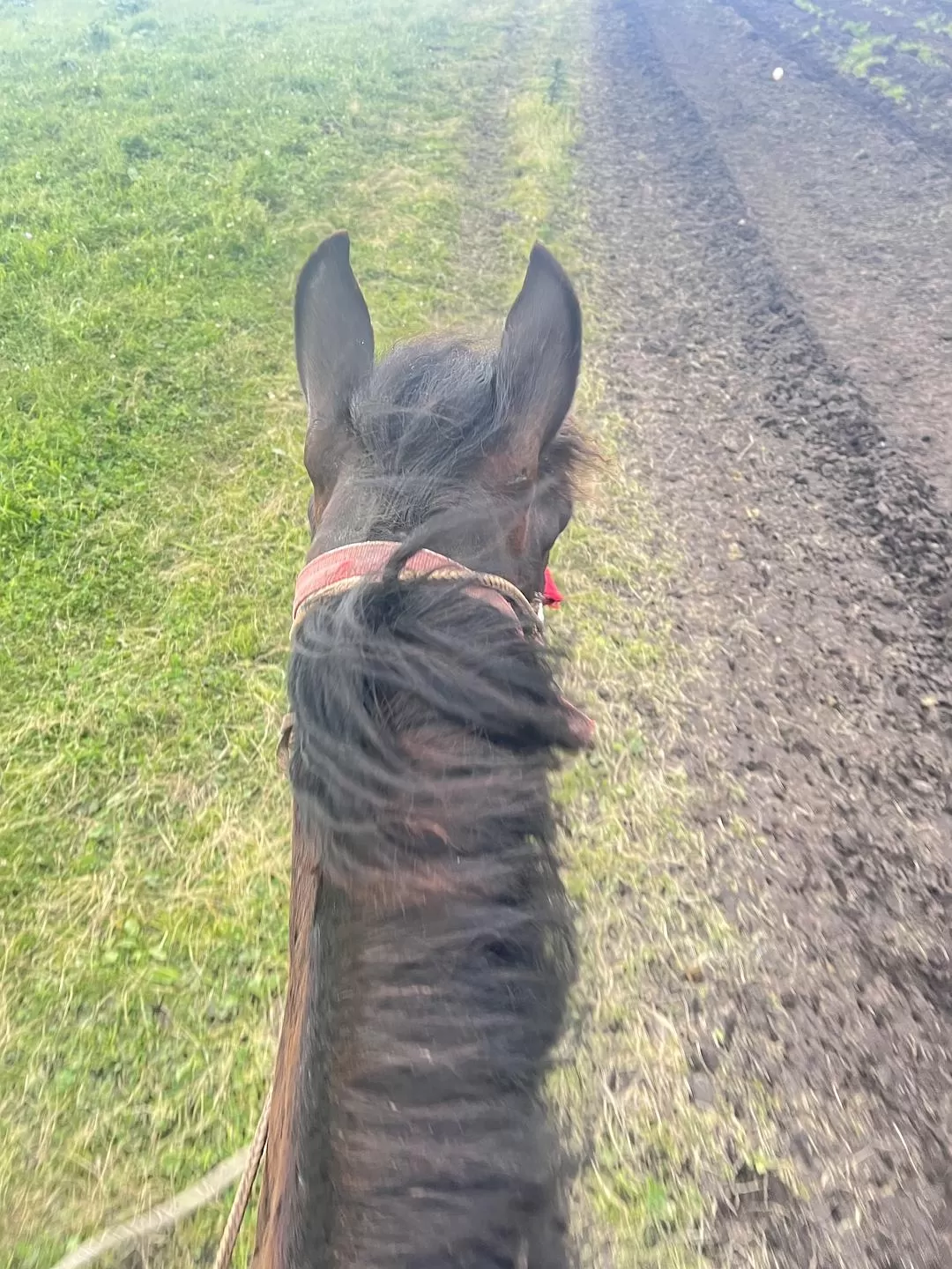 旅游推荐🔥一人游：心留在了新疆，回不来了（终于完结啦🎉🎉🎉）