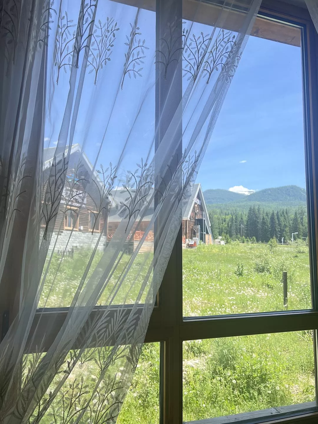 旅游推荐🔥一人游：心留在了新疆，回不来了（终于完结啦🎉🎉🎉）