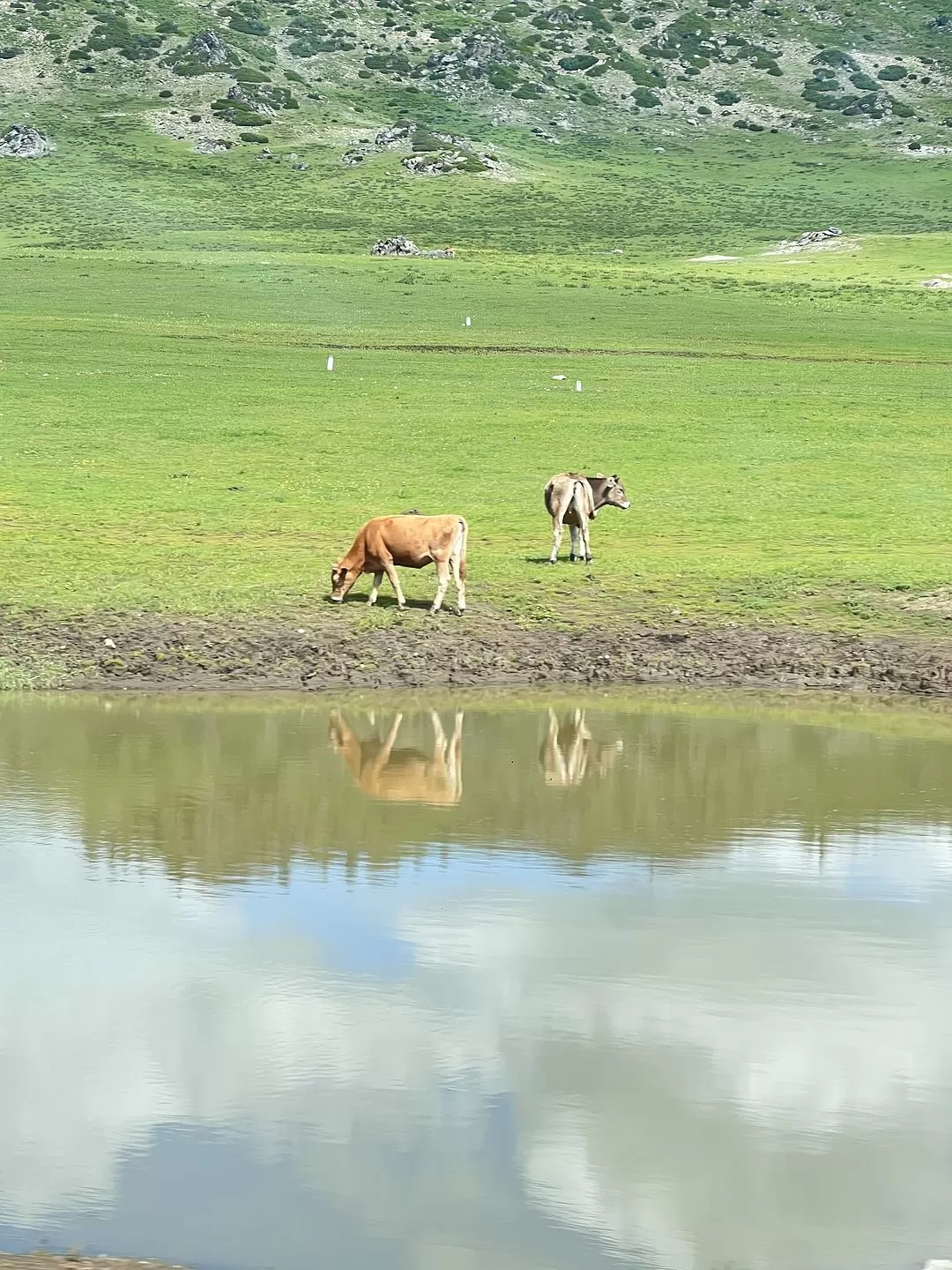 旅游推荐🔥一人游：心留在了新疆，回不来了（终于完结啦🎉🎉🎉）