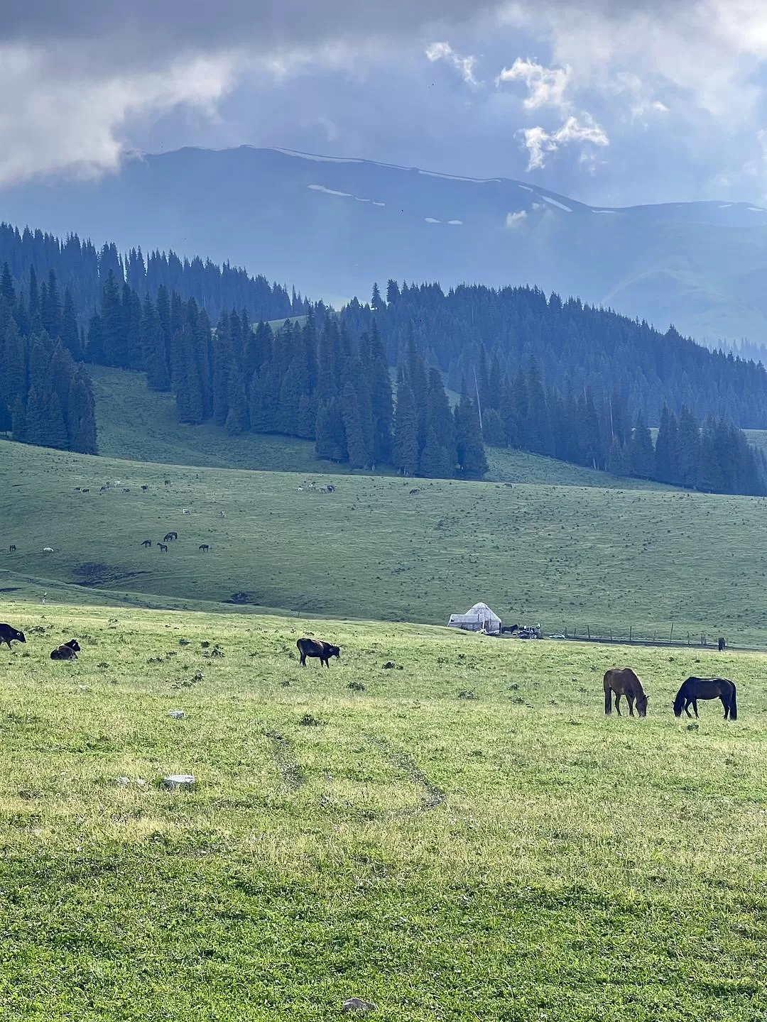 旅游推荐🔥一人游：心留在了新疆，回不来了（终于完结啦🎉🎉🎉）