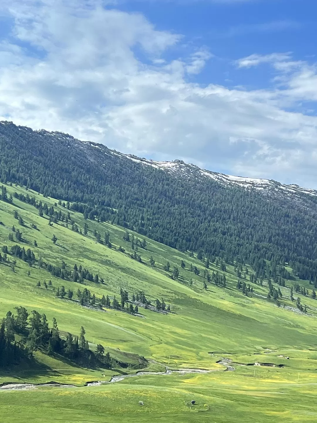 旅游推荐🔥一人游：心留在了新疆，回不来了（终于完结啦🎉🎉🎉）