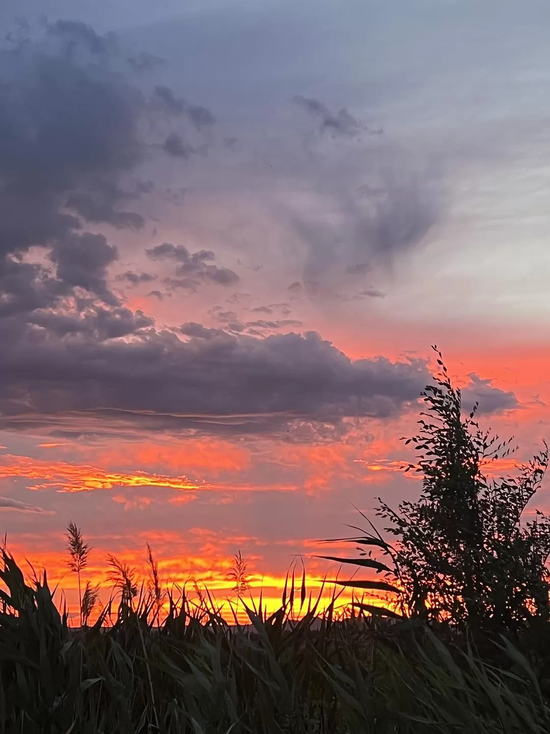 旅游推荐🔥一人游：心留在了新疆，回不来了（终于完结啦🎉🎉🎉）
