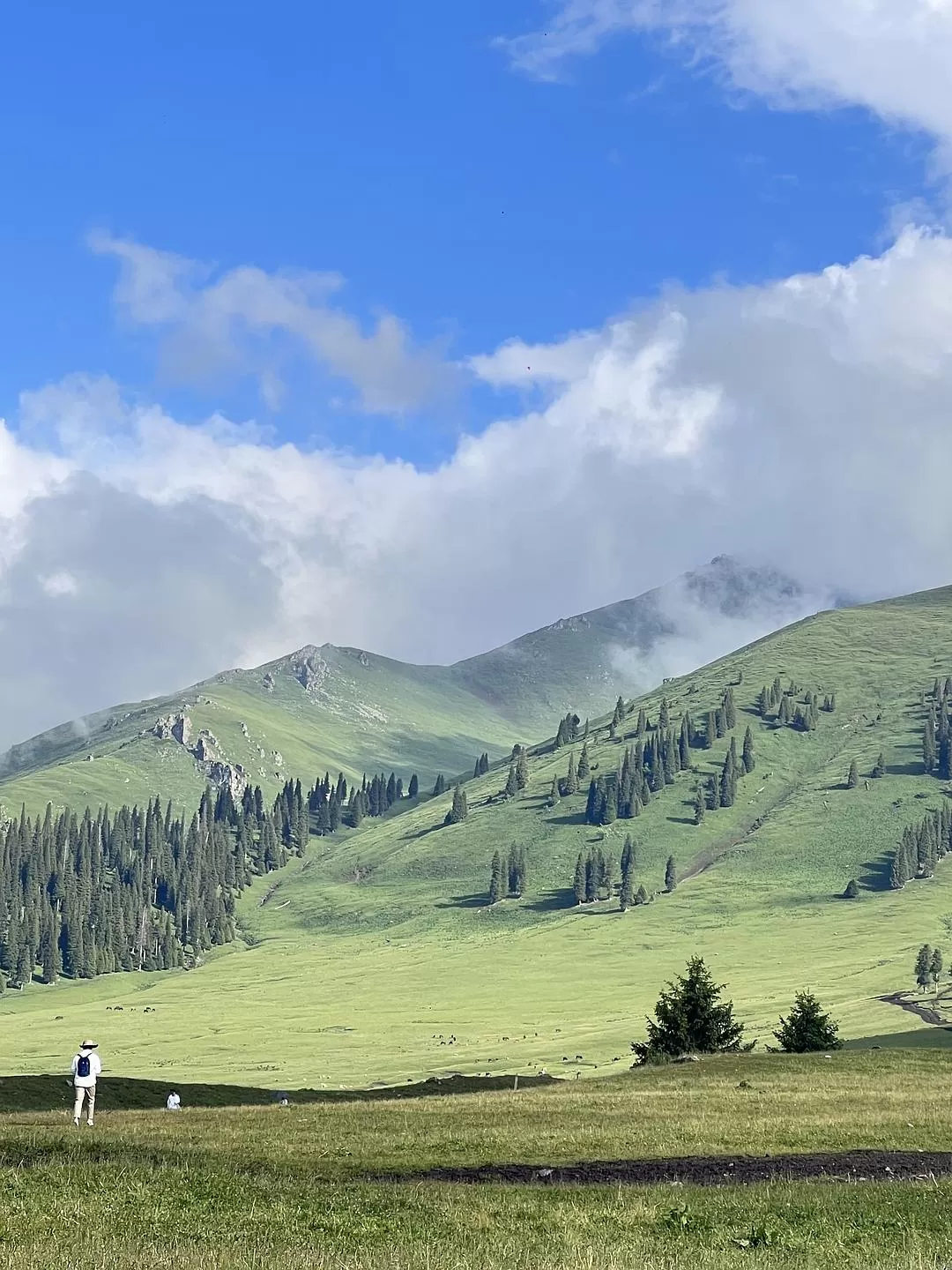 旅游推荐🔥一人游：心留在了新疆，回不来了（终于完结啦🎉🎉🎉）