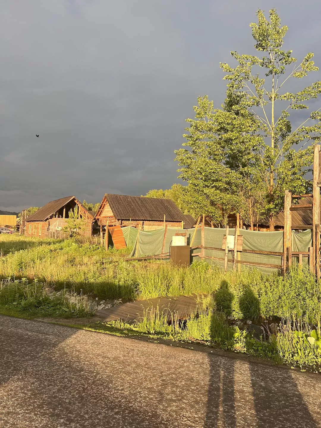 旅游推荐🔥一人游：心留在了新疆，回不来了（终于完结啦🎉🎉🎉）