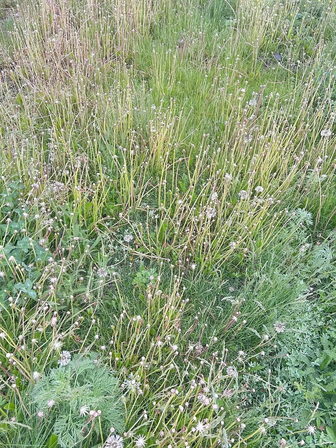 旅游推荐🔥一人游：心留在了新疆，回不来了（终于完结啦🎉🎉🎉）