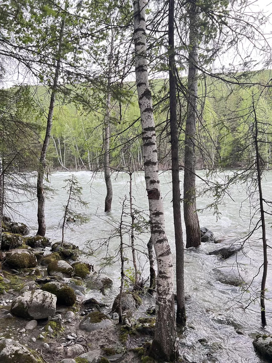 旅游推荐🔥一人游：心留在了新疆，回不来了（终于完结啦🎉🎉🎉）