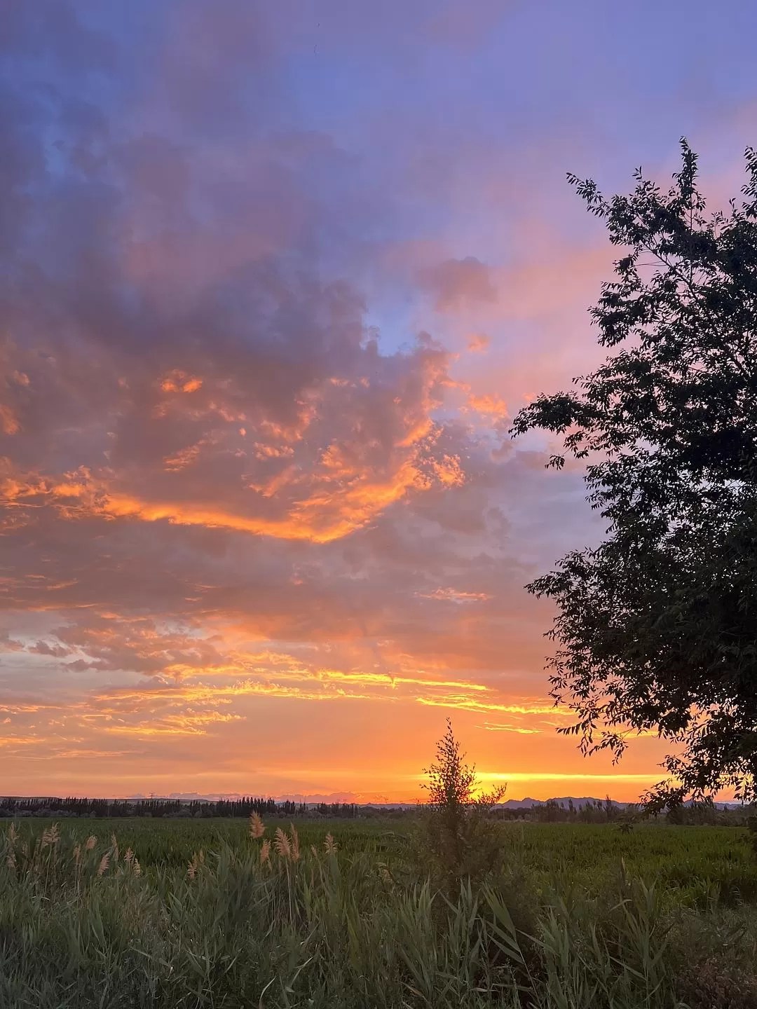 旅游推荐🔥一人游：心留在了新疆，回不来了（终于完结啦🎉🎉🎉）