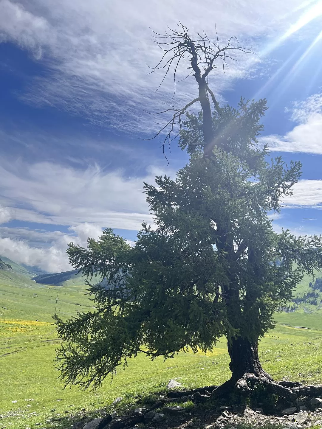 旅游推荐🔥一人游：心留在了新疆，回不来了（终于完结啦🎉🎉🎉）