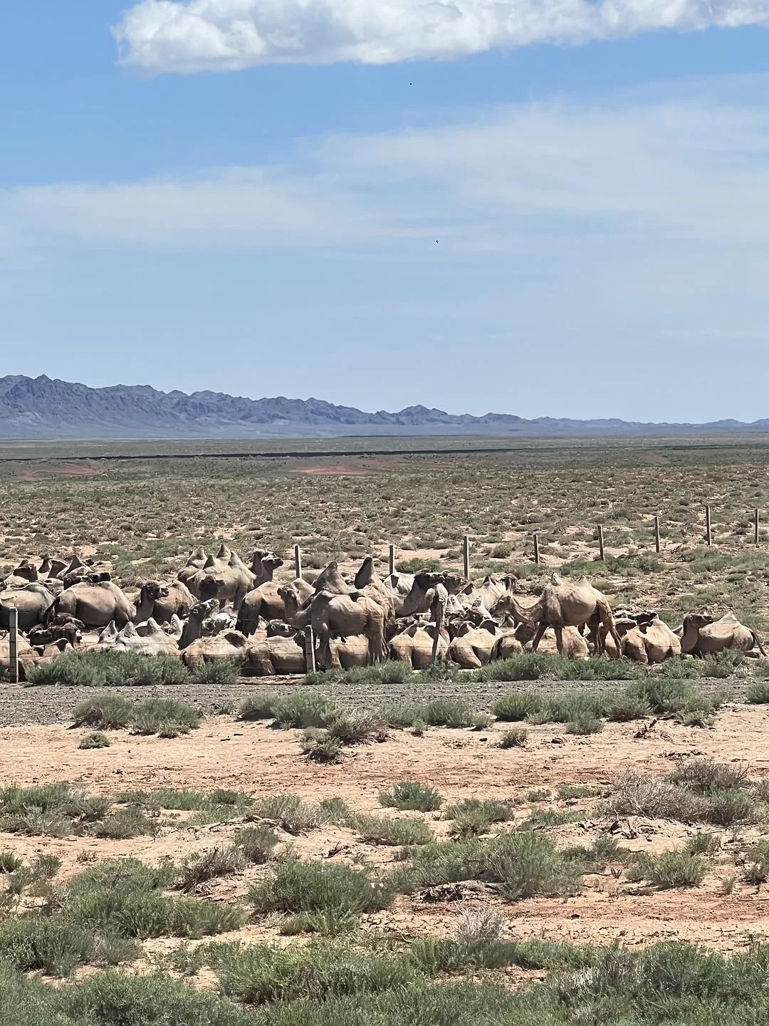 旅游推荐🔥一人游：心留在了新疆，回不来了（终于完结啦🎉🎉🎉）