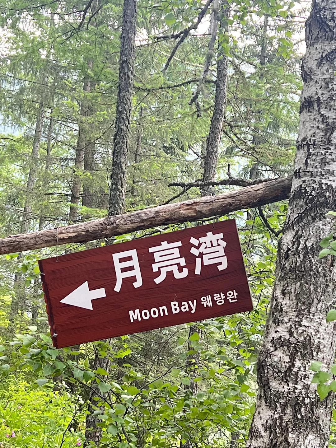 旅游推荐🔥一人游：心留在了新疆，回不来了（终于完结啦🎉🎉🎉）