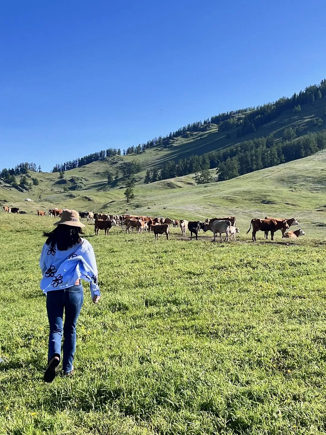 旅游推荐🔥一人游：心留在了新疆，回不来了（终于完结啦🎉🎉🎉）