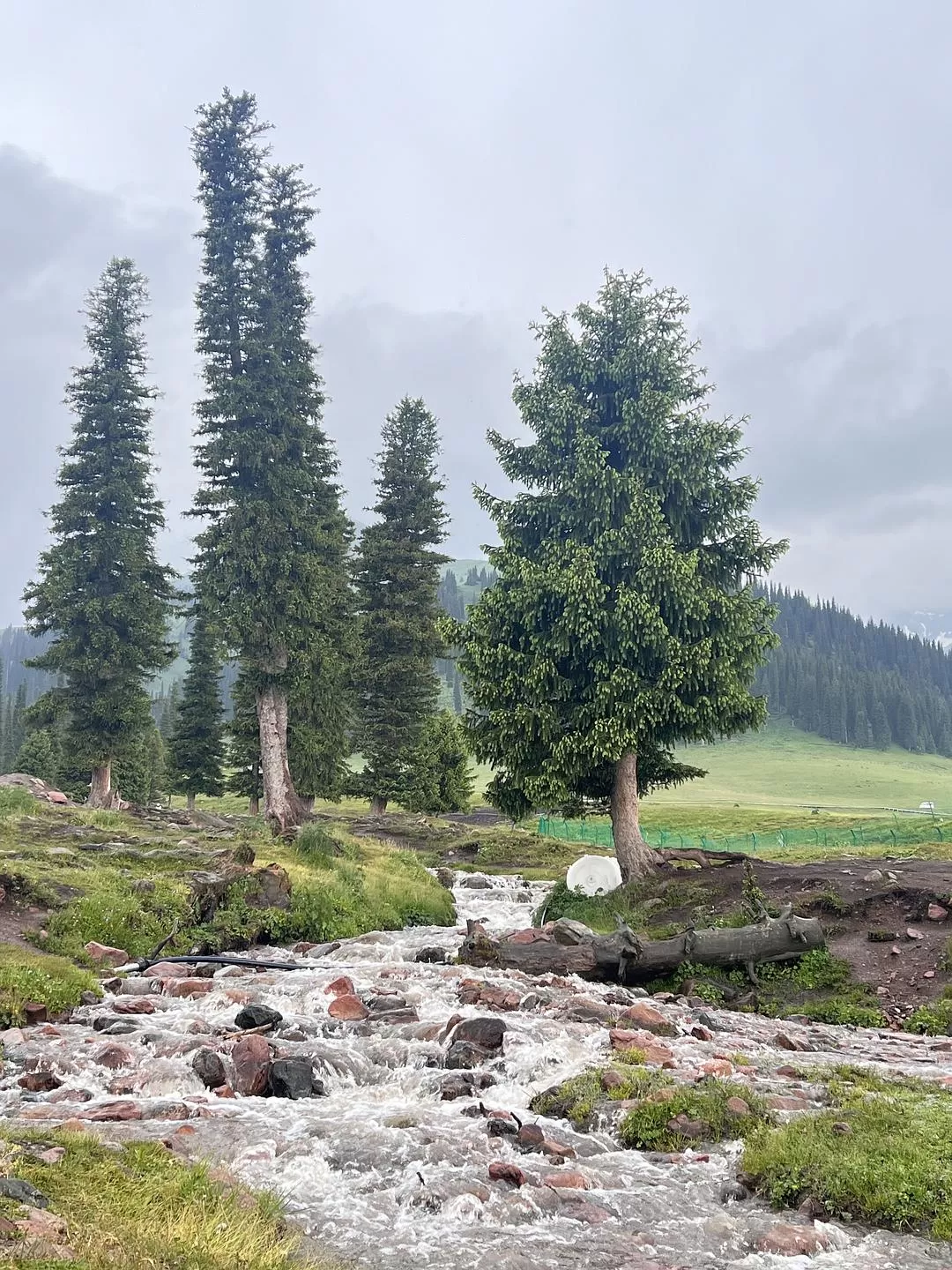 旅游推荐🔥一人游：心留在了新疆，回不来了（终于完结啦🎉🎉🎉）