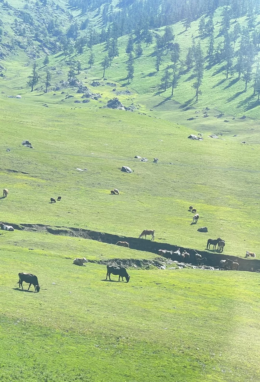 旅游推荐🔥一人游：心留在了新疆，回不来了（终于完结啦🎉🎉🎉）