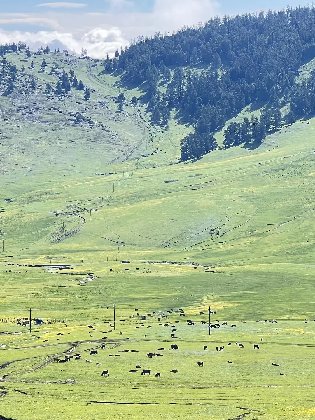 旅游推荐🔥一人游：心留在了新疆，回不来了（终于完结啦🎉🎉🎉）