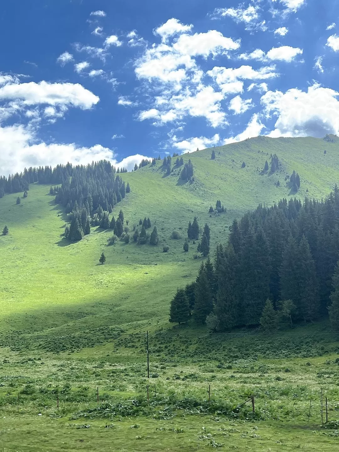 旅游推荐🔥一人游：心留在了新疆，回不来了（终于完结啦🎉🎉🎉）