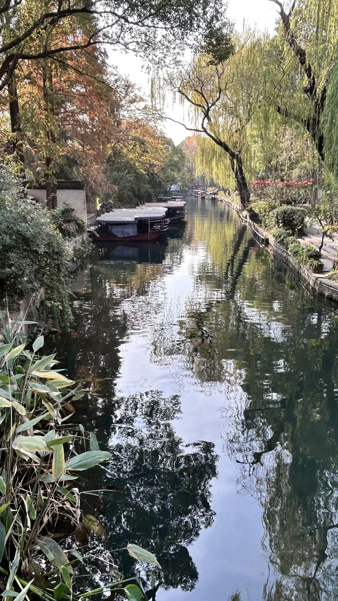 旅游推荐㊙️两人游：如果只有两天时间，我建议来湖州逛一逛