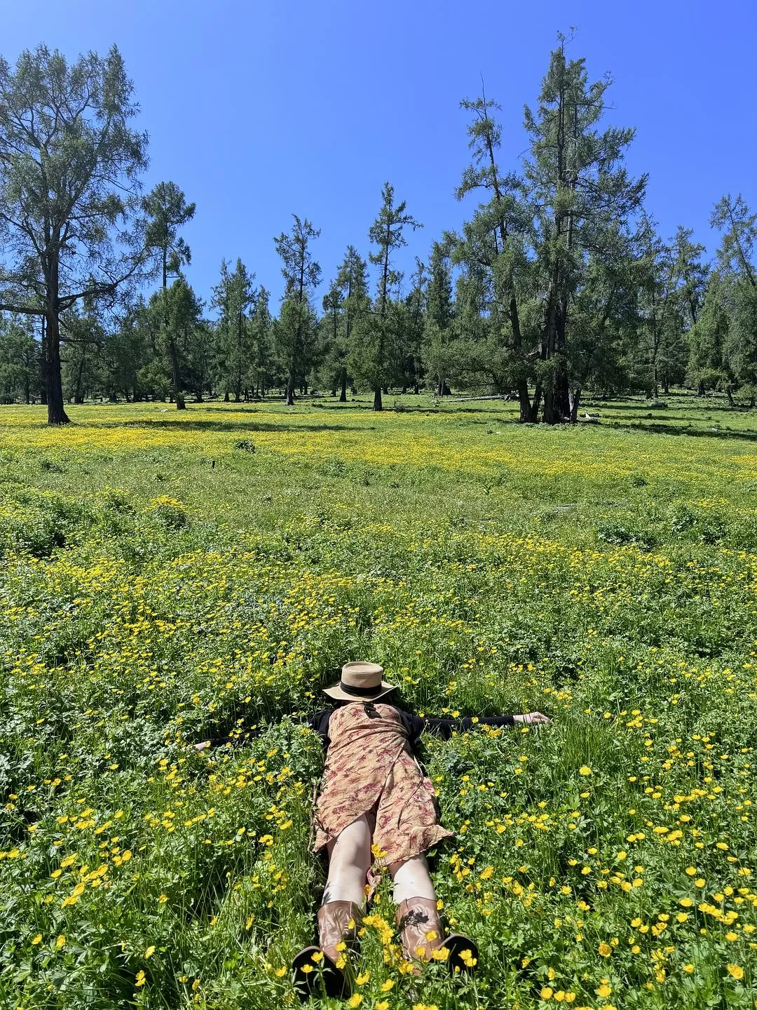 旅游推荐🔥一人游：心留在了新疆，回不来了（终于完结啦🎉🎉🎉）