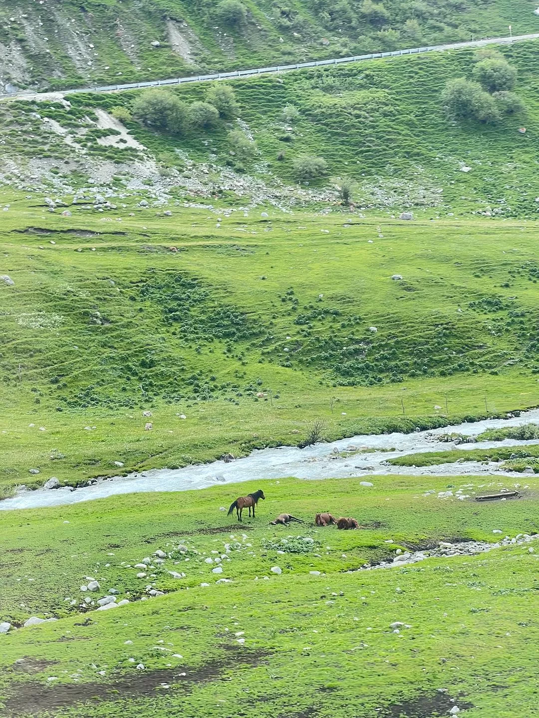 旅游推荐🔥一人游：心留在了新疆，回不来了（终于完结啦🎉🎉🎉）