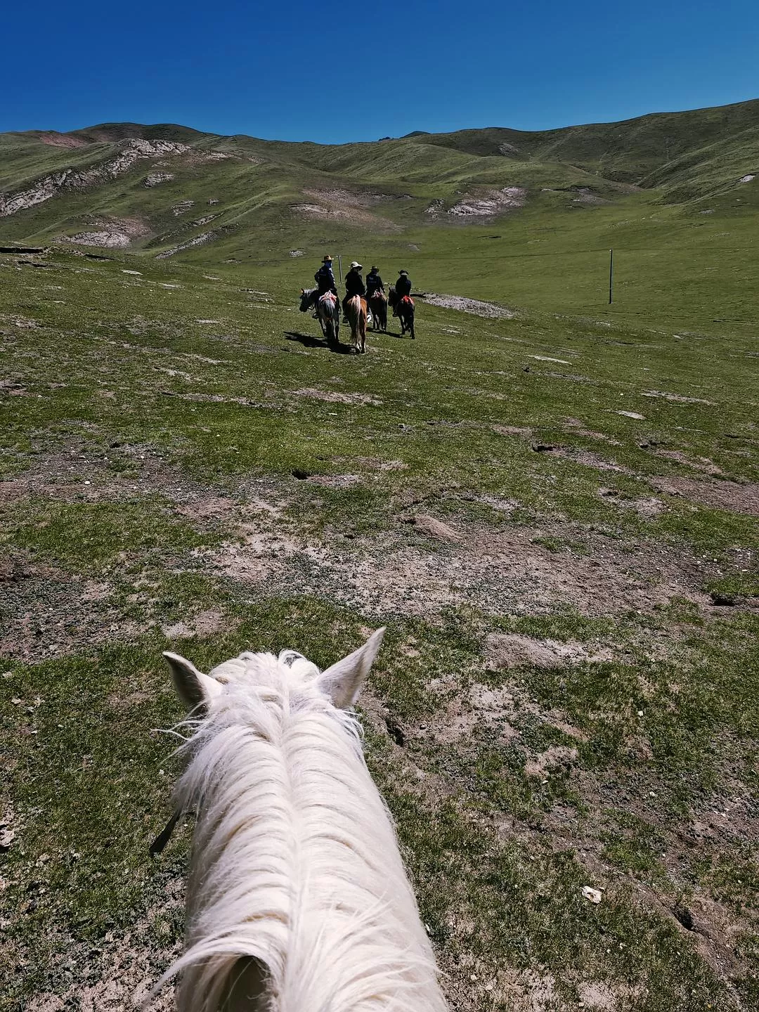 旅游推荐🤬青甘大环线归来，不虚此行！