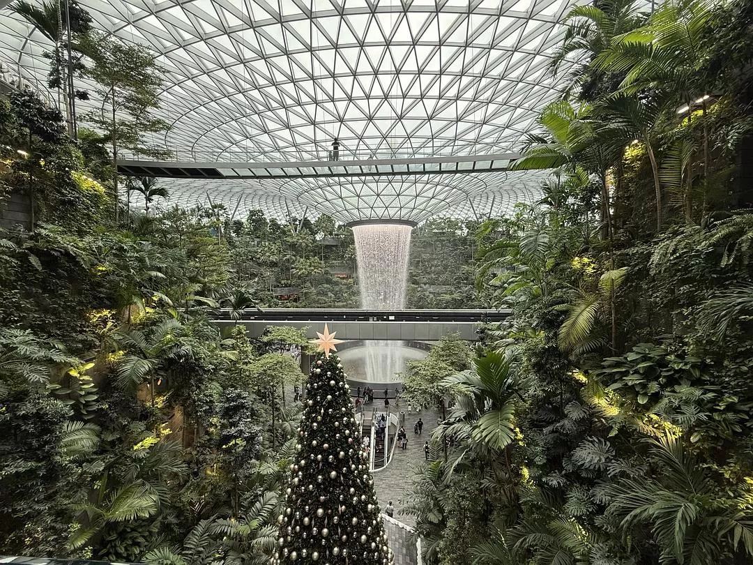 旅游推荐💯国外游：收获满满的新加坡🇸🇬之旅（持续更新多图预警一更）