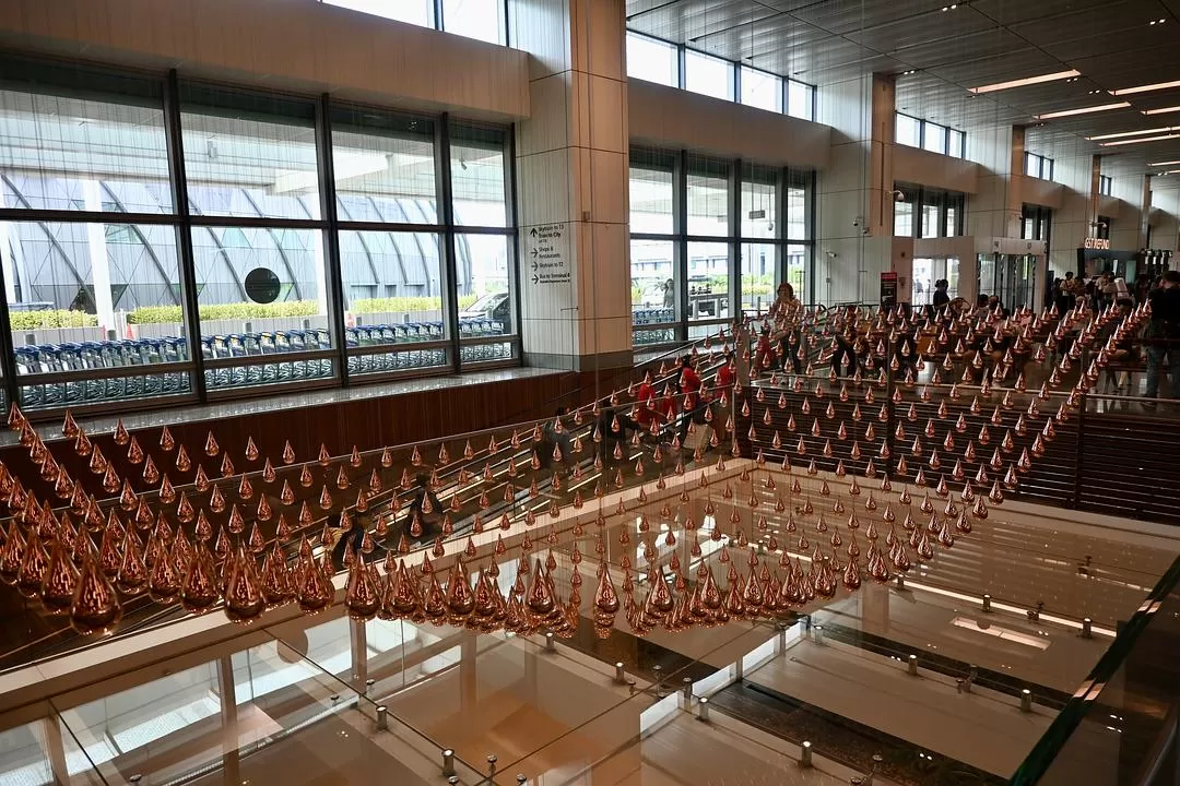 旅游推荐💯国外游：收获满满的新加坡🇸🇬之旅（持续更新多图预警一更）