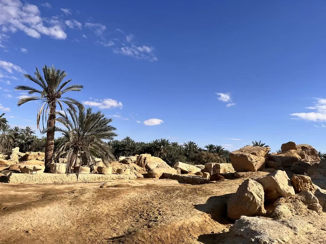 旅游推荐💯国外游：在埃及自由行26天花费4763