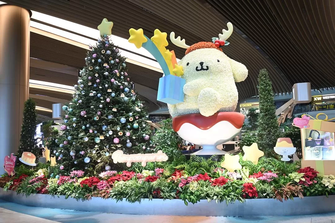 旅游推荐💯国外游：收获满满的新加坡🇸🇬之旅（持续更新多图预警一更）