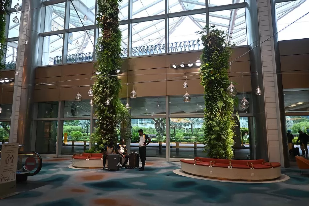 旅游推荐💯国外游：收获满满的新加坡🇸🇬之旅（持续更新多图预警一更）