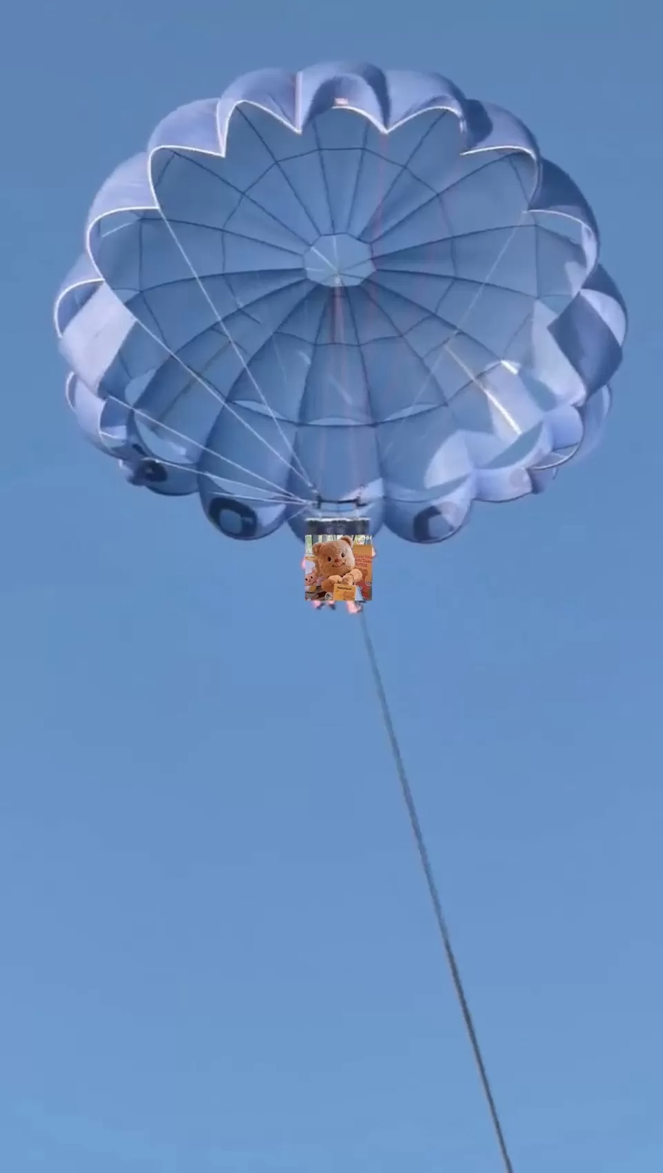 旅游推荐💯国外游：在埃及自由行26天花费4763