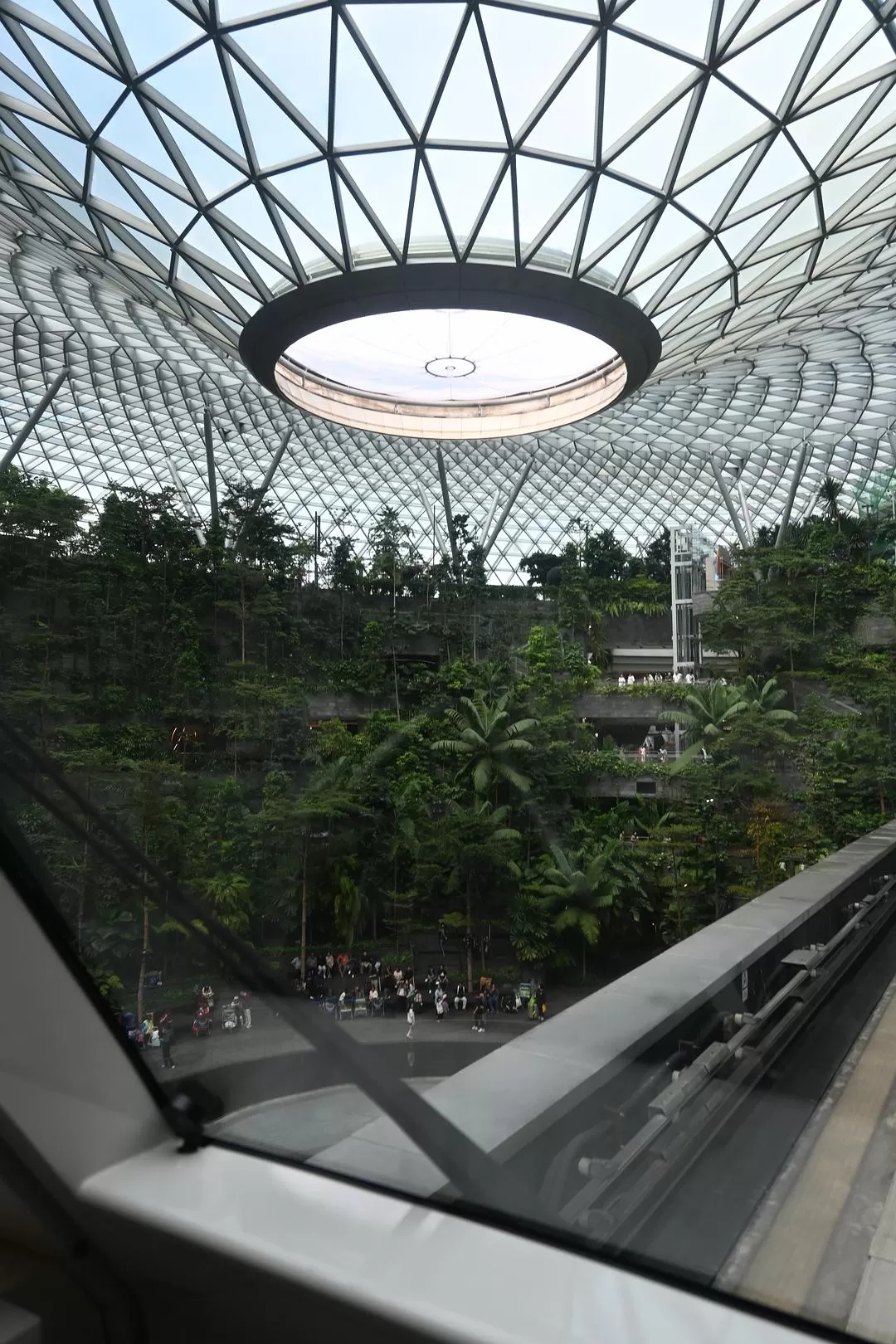 旅游推荐💯国外游：收获满满的新加坡🇸🇬之旅（持续更新多图预警一更）