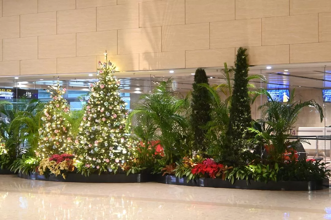 旅游推荐💯国外游：收获满满的新加坡🇸🇬之旅（持续更新多图预警一更）