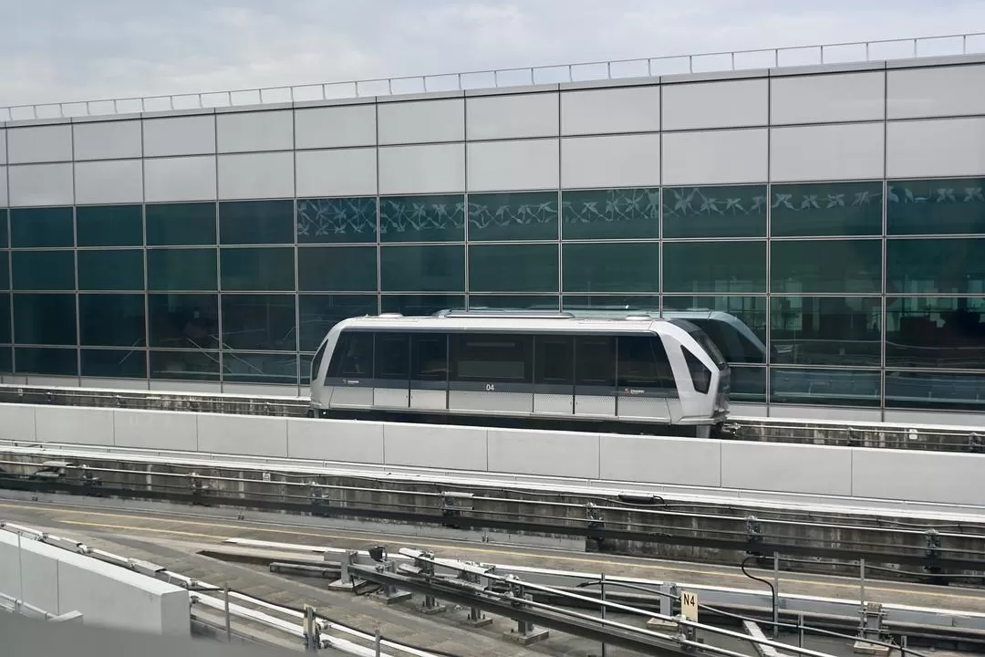 旅游推荐💯国外游：收获满满的新加坡🇸🇬之旅（持续更新多图预警一更）