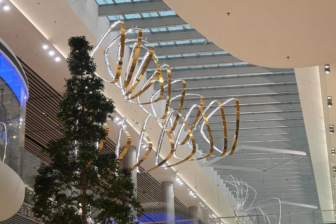 旅游推荐💯国外游：收获满满的新加坡🇸🇬之旅（持续更新多图预警一更）