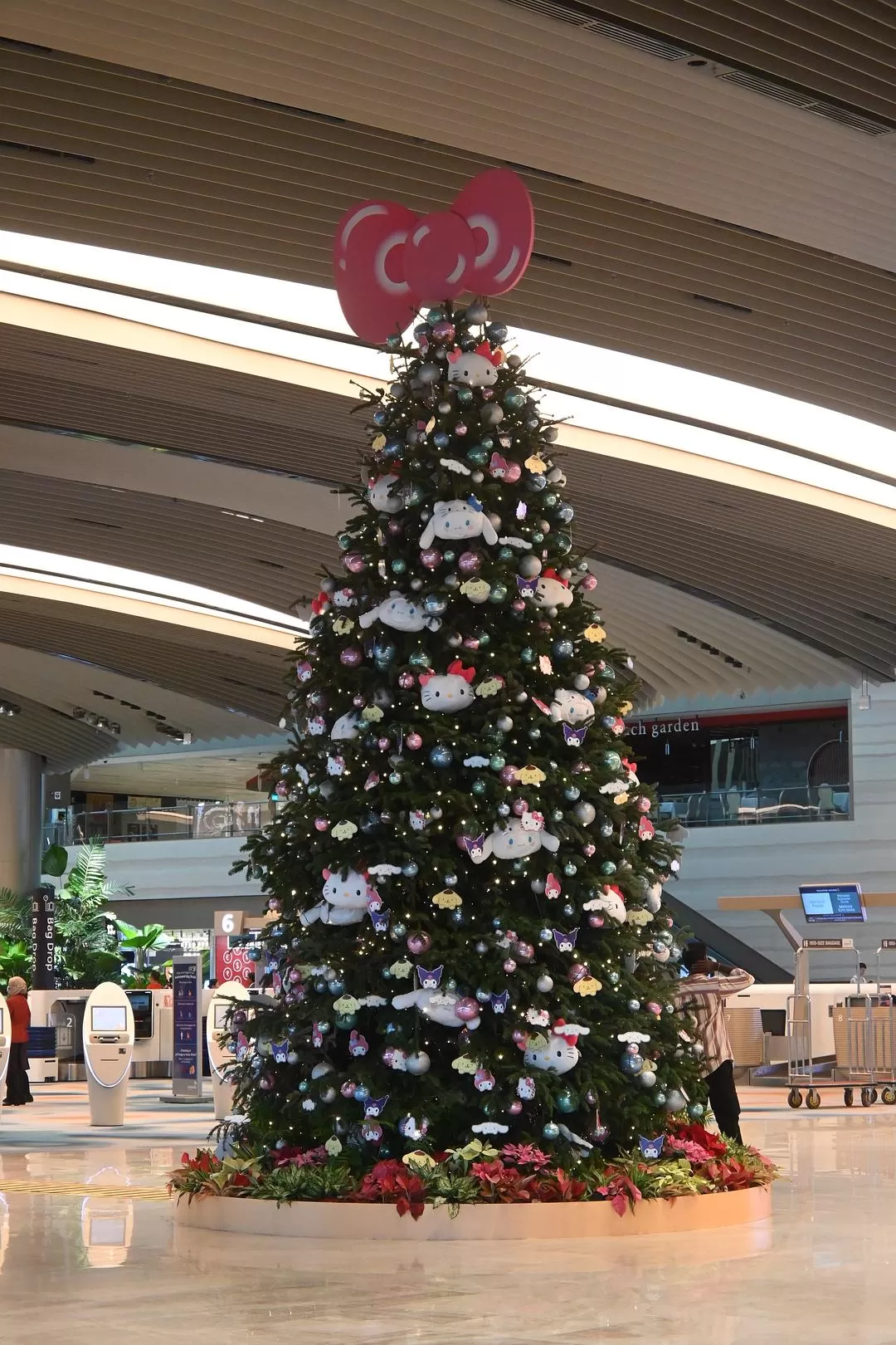 旅游推荐💯国外游：收获满满的新加坡🇸🇬之旅（持续更新多图预警一更）