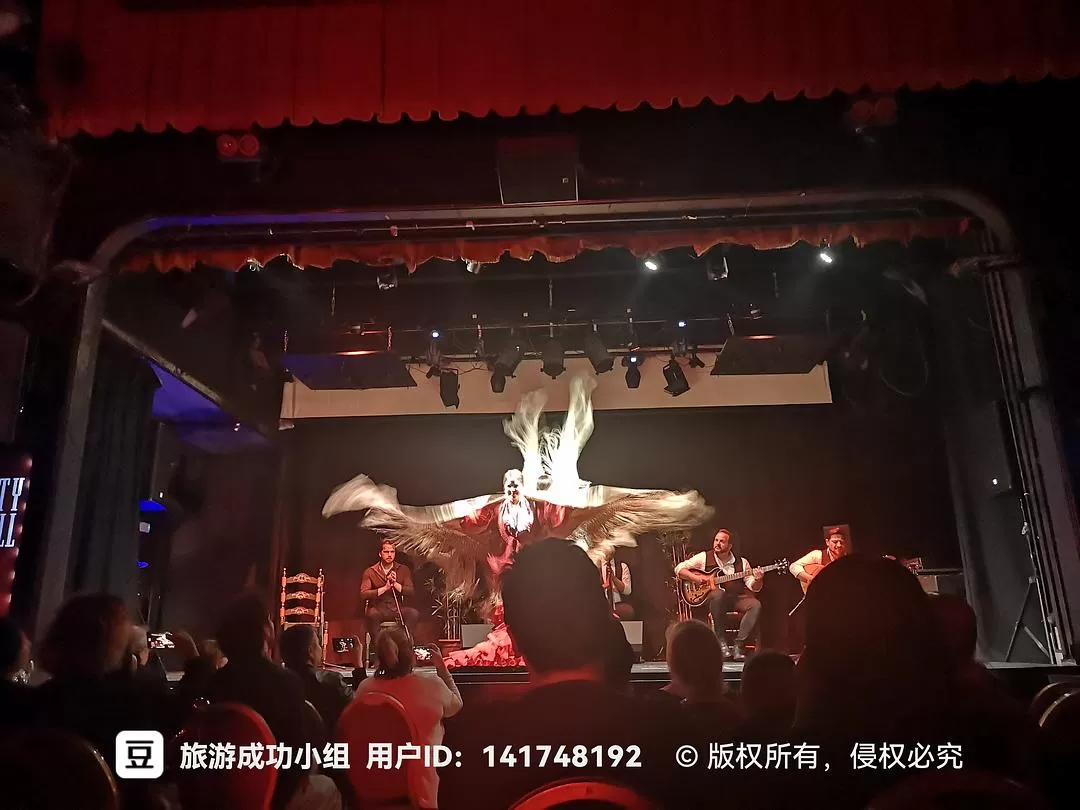 旅游推荐⚡国外游：欧洲solo trip不要太爽（还体验了柏林和威尼斯电影节！！）