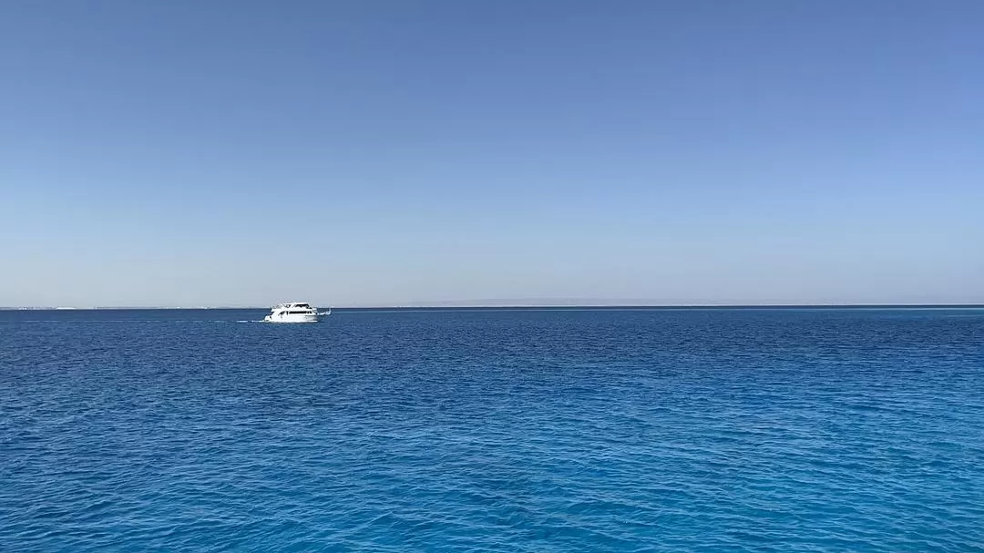 旅游推荐💯国外游：在埃及自由行26天花费4763