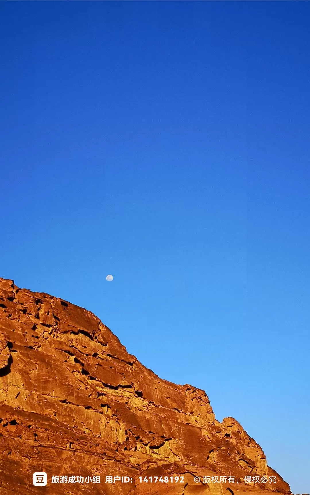 旅游推荐⚡国外游：欧洲solo trip不要太爽（还体验了柏林和威尼斯电影节！！）