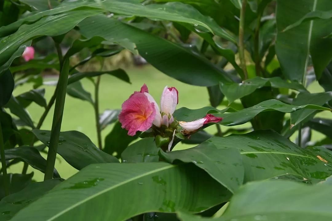 旅游推荐💯国外游：收获满满的新加坡🇸🇬之旅（持续更新多图预警一更）