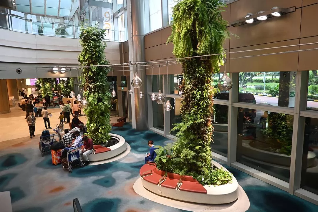 旅游推荐💯国外游：收获满满的新加坡🇸🇬之旅（持续更新多图预警一更）