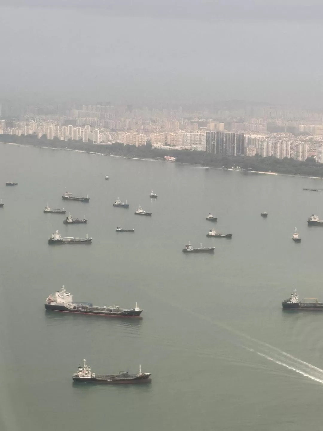 旅游推荐💯国外游：收获满满的新加坡🇸🇬之旅（持续更新多图预警一更）